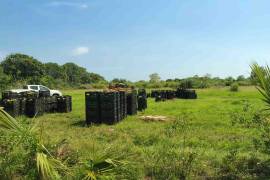 Brenda Meza, regidora del municipio de Cacahoatán, encabezó el ingreso de civiles identificados como funcionarios de Bienestar a predios bajo resguardo de la Semar en Chiapas, de acuerdo con auditoría.