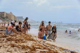 Sargazo de Cancún es ocultado en tiraderos clandestinos