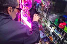 A unos días de haber entrado en vigor la prohibición de la comercialización y promoción de vapeadores y cigarros electrónicos, esta ha resultado letra muerta; continúa la venta en la Ciudad de México.