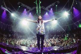 15 heridos en concierto de Steve Aoki