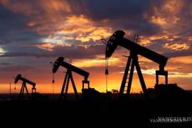 La explotación del gas shale es principalmente criticado por la técnica del fracking.