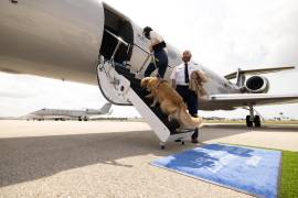 Personal de la tripulación mientras ayudan a un perro a subir a bordo de un avión de esta aerolínea, una subsidiaria de BarkBox, compañía que produce y vende comida para perros y otros productos caninos.