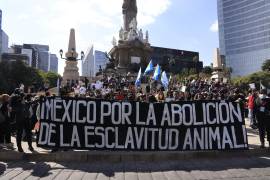 El especismo, explican los activistas, hace referencia a la discriminación contra los animales por considerarlos especies inferiores.