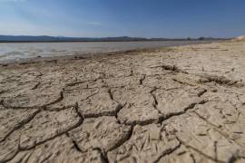 Campo, sequía y omisión, secan acuífero de Coahuila