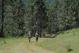 Los bosques de Arteaga son famosos a nivel nacional; a este Pueblo Mágico se le conoce como “La Suiza de México”.
