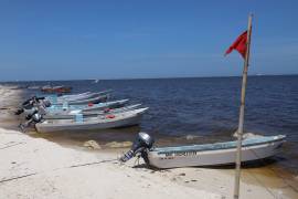 La Comisión Estatal para la Protección contra Riesgos Sanitarios de Colima, alertó por marea roja en las Bahías de Manzanillo.