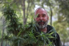 El vocero del plantón 420, Pepe Rivera, posa detrás de una planta de marihuana en Ciudad de México.