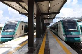 Contrataron el servicio de manejo de fauna nociva para las operaciones ferroviarias del Tren Maya con el objetivo de ahuyentarlas.