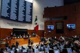 Luego de dos horas de discusión, el pleno del Senado de la República aprobó imponer aranceles a la importación de 316 productos asiáticos
