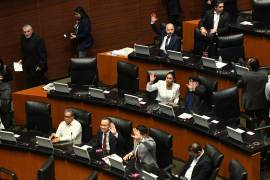 Tanto en el Senado como en la Cámara de Diputados se han presentado iniciativas y exhortos para prevenir riesgos a migrantes deportados.