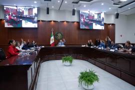 La diputada Karla Ulloa informó que la decisión saldrá directamente del Comité Ejecutivo Nacional, liderado por Ariadna Montiel.