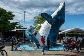 El Festival Mundial Ballenas y Cantaoras, que celebra su séptima edición con el apoyo del gobierno regional.