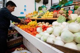 Los productos que presentaron las variaciones mensuales con precios la baja fueron el jitomate con -29.12%, nopales -15.30%, sandía -14.40%, cebolla -14.17%, uva -9.64%, entre otros. FOTO: