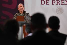 Los ingresos reportados corresponden exclusivamente a su labor como servidor público y al ejercicio inmediato anterior.