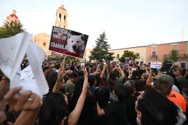 El caso de maltrato animal de Rocky deja un precedente en la ciudad.