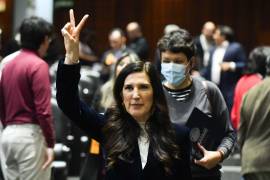 Advierte que aprobarla sin pluralidad podría afectar la credibilidad democrática del país en un contexto de negociación comercial internacional.