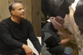 El actor Alfredo Adame volvió a causar revuelo en La Granja VIP al mostrarse feliz por ser enviado al granero junto a otros compañeros. Entre bromas, habló con vacas y aseguró que prefería su compañía antes que la de “la bola de gente mala”.