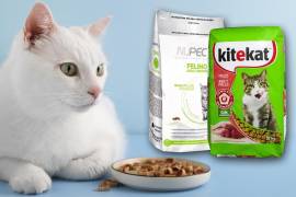 Debes tener presente la siguiente información para no comprarle alimento inadecuado a tu felino.