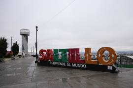 Saltillo, Coah. Mex. 11 de enero del 2025 Con la llegada del frente frio n27 se presentaron temperaturas bajo cero en la ciudad, lo que hizo que el hielo cubriera plantas al sur de la ciudad