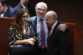 Alberto Anaya, líder del PT, decidió no acompañar por completo el Plan B propuesto por Palacio Nacional.