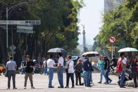 La tasa global de fecundidad se ubicará en 1.84 hijos por mujer en vida reproductiva, menos que en el año 2000, que era de 2.85 hijos.