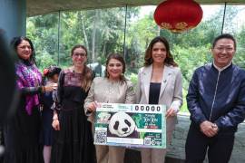Para celebrar los 35 años de vida de Xin Xin, la panda gigante que habita en el Zoológico de Chapultepec y que es considerada la más longeva del mundo, la Lotería Nacional lanzó un billete conmemorativo que rinde homenaje a su historia y simbolismo.