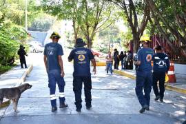 El Servicio Sismológico Nacional (SSN) confirmó que hasta las 14:00 horas de este 2 de enero, se han registrado 546 réplicas derivadas del sismo de 6.5 en San Marcos, Guerrero.