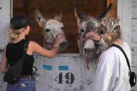 Joycelyn Writer (izquierda) y Rachel Granger, que tienen caballos, acarician a dos burros que han encontrado refugio temporal en el Centro Ecuestre de Los Ángeles.