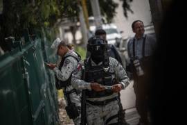 También se enlistan zonas en las que podrá participar en tareas de protección.