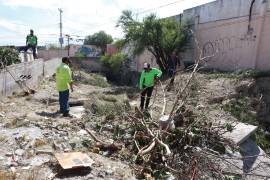Cuadrillas del programa “Aquí andamos” limpiaron el arroyo La Tórtola para eliminar riesgos sanitarios en el Distrito Centro.