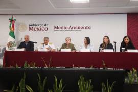 La Marina atribuyó el contaminante en el Golfo de México a tres posibles fuentes, incluida una mancha detectada cerca de un fondeadero frente a Coatzacoalcos.