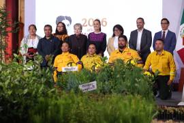 Durante la conferencia de prensa matutina de la presidenta Claudia Sheinbaum se habló sobre la Jornada Nacional de Reforestación.