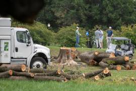 En la imagen se observan árboles recién talados en el campo de golf East Potomac Golf Links, en Washington.