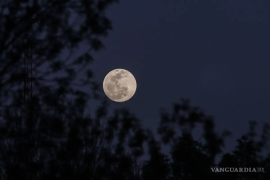 Los amantes de los fenómenos astronómicos podrán apreciar un espectáculo en el cielo que podrá verse en México, oficialmente con la fase de la Luna llena.