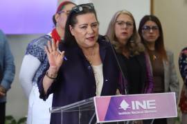 Taddei insistió al Congreso en que en la reforma debe aclararse que el INE únicamente funcionará como intermediario.