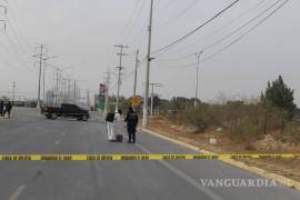 Los atropellamientos se han concentrado en distintos puntos de la ciudad, con noviembre como el mes más letal, al registrar cuatro muertes.