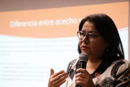 De acuerdo con Araceli Vázquez, coinvestigadora en el “Estudio sobre ciber-acecho en mujeres alojadas en refugios para víctimas de violencia familiar en México”, el 71 por ciento de las víctimas sufre el robo de identidad.