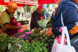 La Mandataria adelantó que sostendrá una reunión en los próximos días, una vez que existan acuerdos con productores y comercializadores.