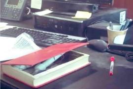 La noche del 29 de mayo de 2019, un artefacto explosivo de hechura casera en forma de libro estalló en la oficina de la entonces senadora Citlalli Hernández, ubicada en el piso tres de la torre de oficinas del Senado.