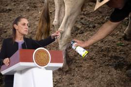 FOTO: ISABEL MATEOS HINOJOSA /CUARTOSCURO