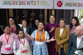 El IASAMA establecerá las bases, lineamientos, criterios técnicos, objetivos, métodos y estrategias que deberán cumplir los Centros de Atención Integral.
