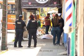 La propuesta contempla adicionar el artículo 67 Bis a la Ley de Víctimas de la Ciudad de México, para reconocer a las hijas e hijos como víctimas indirectas.