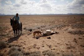 El país tendrá al menos 16 semanas de temperaturas máximas de 40 a 45 grados Celsius, anticipan expertos