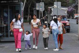 Violencia familiar y apoyo emocional relacionado con fatiga por las tareas domésticas y de cuidado que desempeñan, son dos de las principales causas por las que madres de familia solicitan atención a través de la línea telefónica y servicios del Consejo Ciudadano.