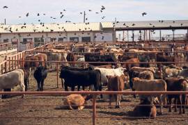 FOTO: ARCHIVO EL UNIVERSAL