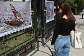 Inauguración de la exposición fotográfica “Mariposa Monarca y su Ruta Migratoria”, una colaboración entre la UAdeC y PROFAUNA.