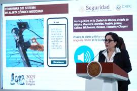 La coordinadora nacional de Protección Civil dijo que el simulacro nacional será el próximo 19 de septiembre.