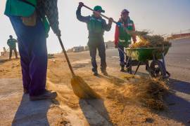 Brigadas municipales realizan labores de deshierbe y retiro de escombro en colonias de Ramos Arizpe como parte del programa permanente de limpieza.