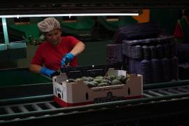 El desempeño durante el primer trimestre de 2026 dependerá en gran medida de la evolución del entorno económico nacional e internacional.