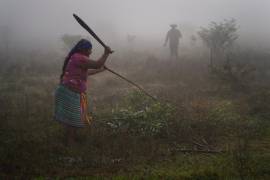 Magdalena Hernández Santiz corta ramas con un machete en Plan de Ayala, un pueblo tojolabal en la localidad de Las Margaritas del estado de Chiapas, México.